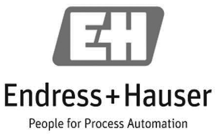 endress hauser